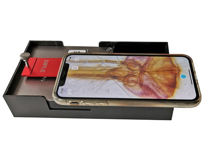 DIPLE RS (Red & Standard Stage) - immagine 7