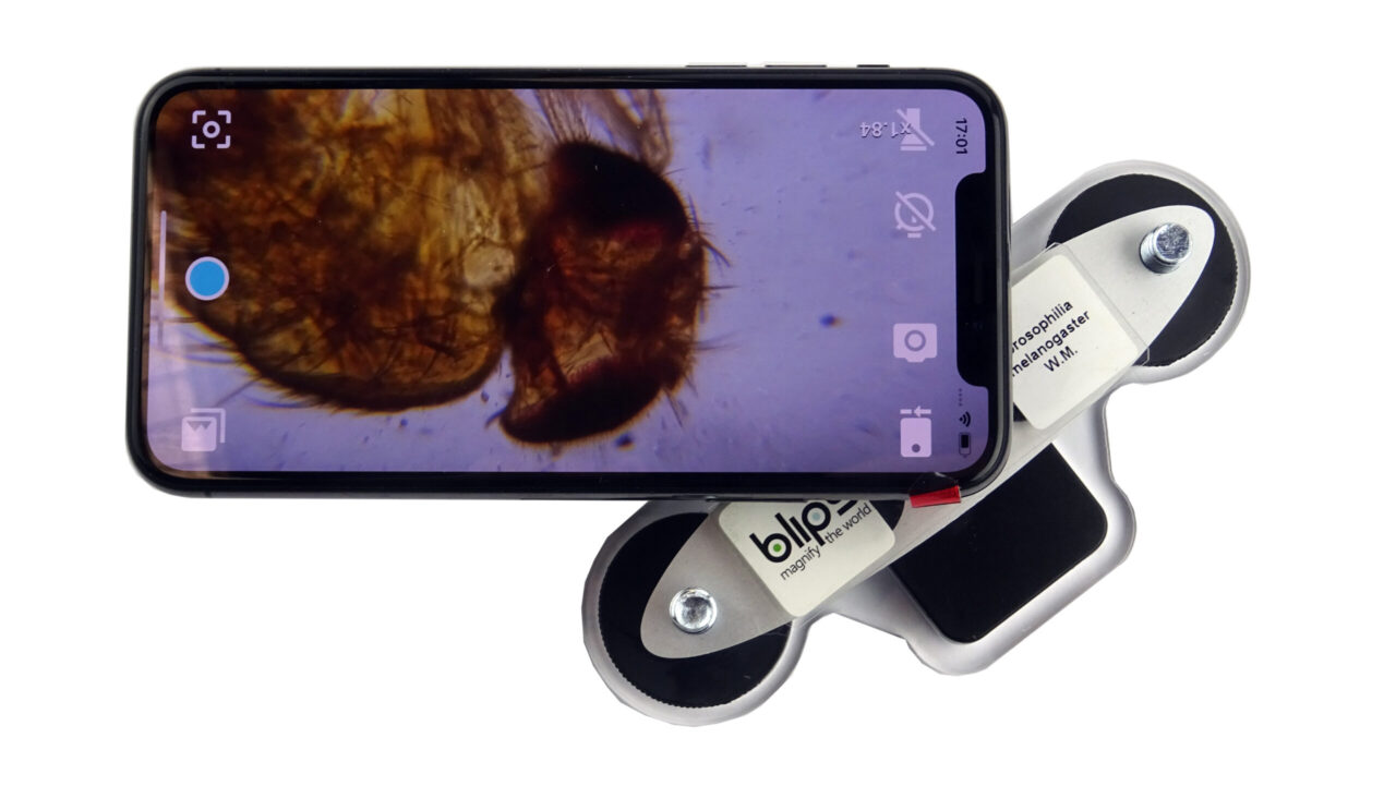 Microscope pour smartphone