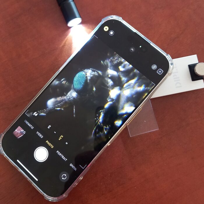 Silver Lens DII - Image 3
